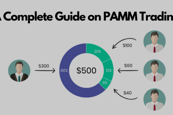 PAMM Account Trading in Forex: How PAMM Account Works PAMM account in forex