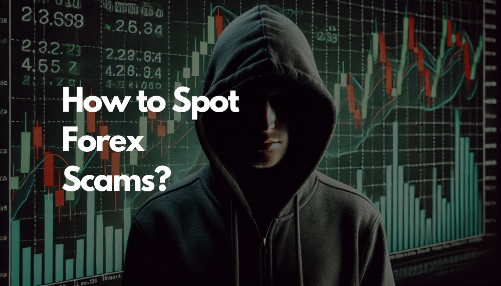 How to Spot Forex Scams