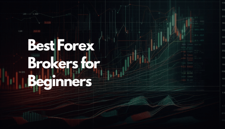 Best Forex Brokers for Beginners