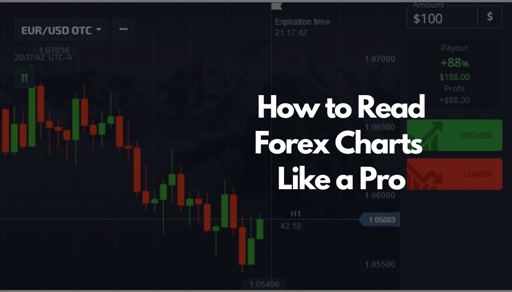 how to read forex charts like a pro